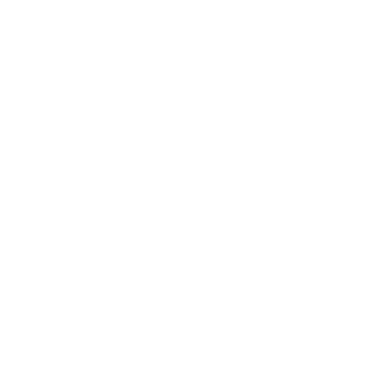 St Pauls Charity Icon